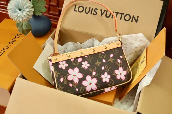 Louis Vuitton Pochette Accessoires M13666